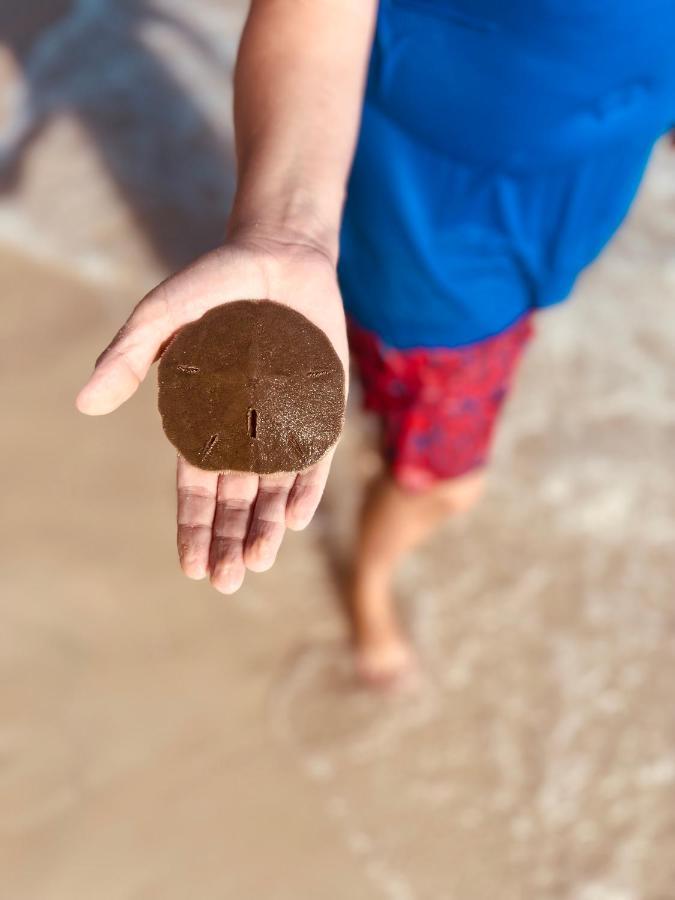 パナマシティービーチ Beach Havenヴィラ エクステリア 写真